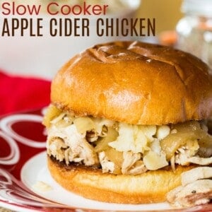 Apple Cider Slow Cooker Pulled Chicken Sandwich on a plate with red and white designs